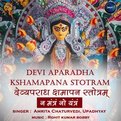 Devi Aparadha Kshamapan Stotram-Na Mantram No Yantram